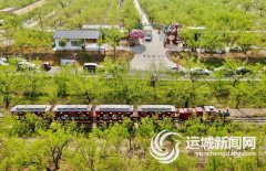 举办了农人丰收节、马拉松赛、自行车赛、非遗