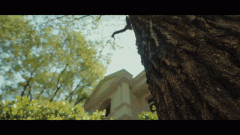 报打算从管部分列