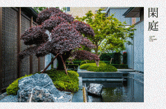 成为“金色花环”上点